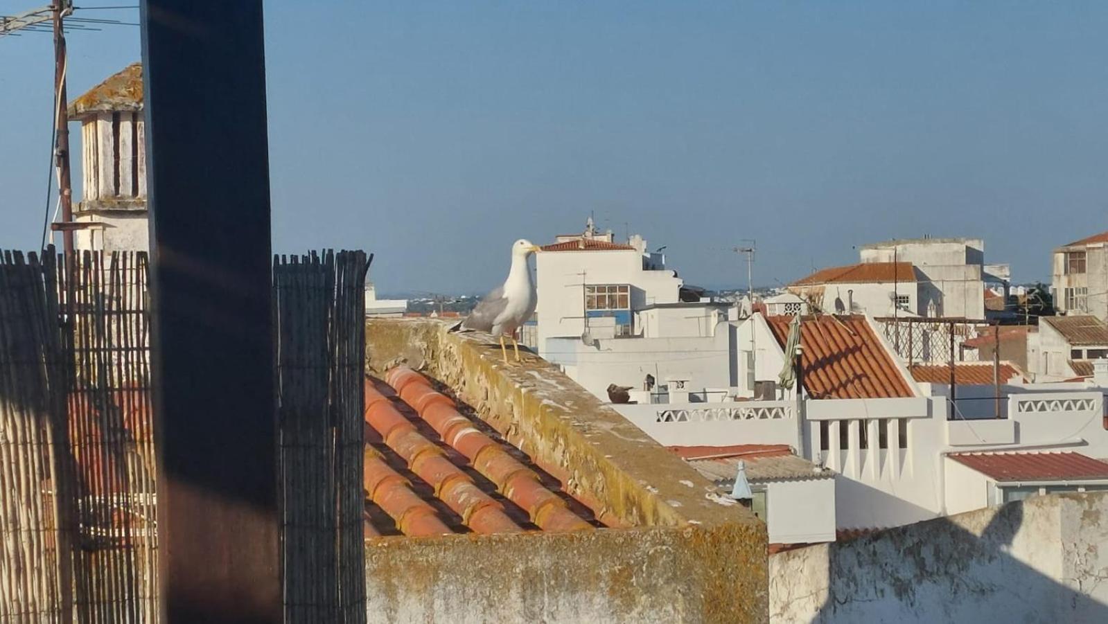 O Pescador Apartman Lagos Kültér fotó